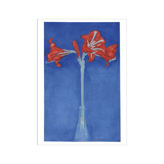 Piet Mondrian Red Amaryllis greetings card
